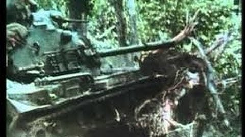 ドキュメンタリーベトナム戦争 貴重な映像