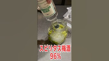 【死】世界最強の酒「スピリタス梅酒96％」を作ってみた！